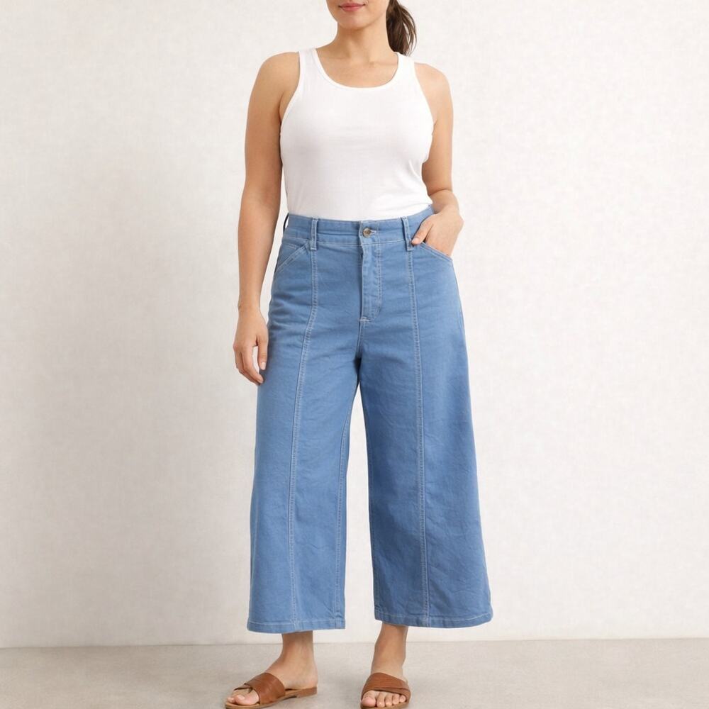 Anthro Maeve Delaney Wide Leg Jeans 29P High Rise Cropped Clean Seam Denim